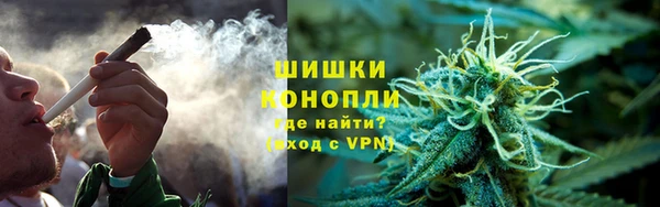 mdpv Снежногорск